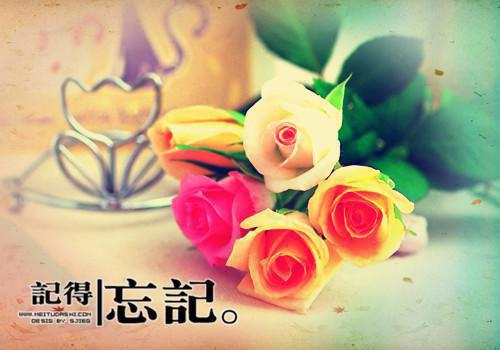 温知羽霍司砚全文免费阅读（温知羽霍司砚）无弹窗大结局_(温知羽霍司砚律师小说免费阅读)温知羽霍司砚最新章节列表_笔趣阁（温知羽霍司砚）