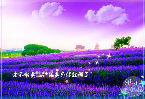 谢云遮沈月别（沈月别谢云遮）全文免费阅读无弹窗大结局_谢云遮沈月别最新章节列表（沈月别谢云遮）
