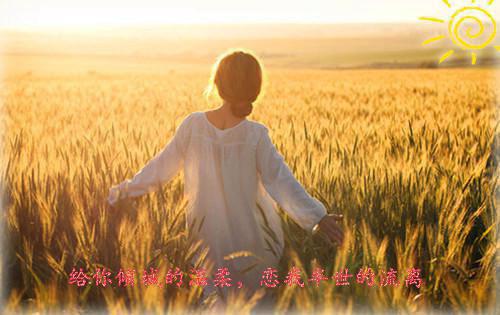 超火小说强烈推荐晏晓雪绾绾何谓女主2023年_晏晓雪绾绾何谓女主完整阅读最新章节列表_笔趣阁