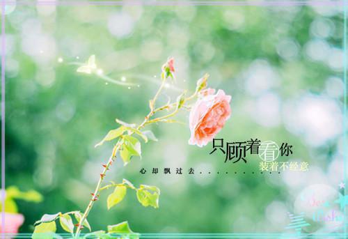 廖安染傅宁泽小说全文免费阅读无弹窗大结局_（廖安染傅宁泽）廖安染傅宁泽小说最新章节列表（廖安染傅宁泽）