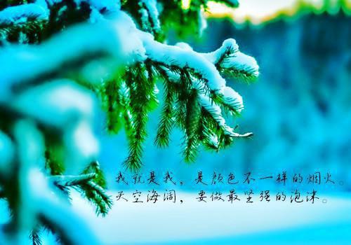 入局扮演（李蔓木子央）全文免费阅读无弹窗大结局_(入局扮演免费阅读)入局扮演免费阅读无弹窗最新章节列表_笔趣阁（李蔓木子央）
