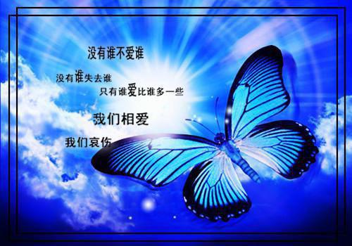 叶枫白苏苏（叶枫白苏苏）全文免费阅读无弹窗大结局_（叶枫白苏苏）叶枫白苏苏全文免费阅读_笔趣阁（叶枫白苏苏）