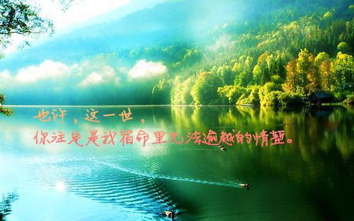 故人南去（沈观南孟念一）全文免费阅读无弹窗大结局_故人南去最新章节列表_笔趣阁(沈观南孟念一）