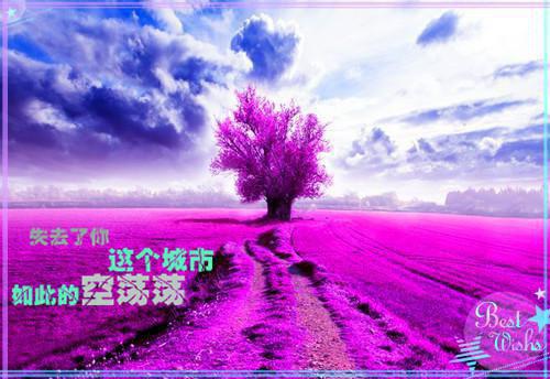 相与到白首权蓁（权蓁苏玺）全文免费阅读无弹窗大结局_相与到白首权蓁全文免费阅读（权蓁苏玺）最新章节列表_笔趣阁（相与到白首权蓁）