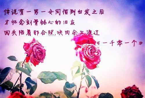 茵茵顾恒（楚楚佳人）全文免费阅读无弹窗大结局_茵茵顾恒全文免费阅读（楚楚佳人）最新章节列表_笔趣阁（茵茵顾恒）