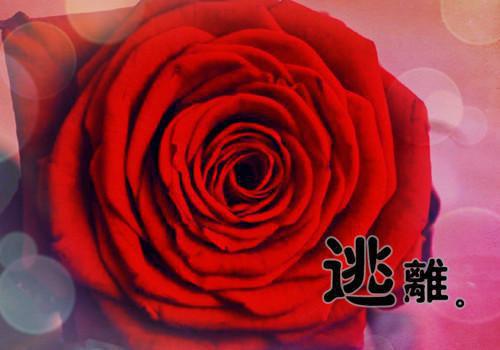 不负皎皎月光明（时玥江屿琛）全文免费阅读无弹窗大结局_不负皎皎月光明最新章节列表_笔趣阁（时玥江屿琛）