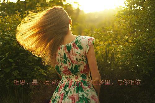 沈祟宋宴汐全文免费阅读无弹窗大结局_（沈祟宋宴汐）沈祟宋宴汐最新章节列表笔趣阁（沈祟宋宴汐）