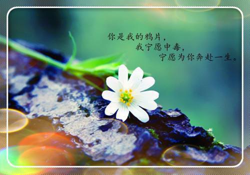 哥哥的取舍(喻如之萧沐沐)全文免费阅读无弹窗大结局_ 哥哥的取舍免费阅读最新章节列表_笔趣阁（喻如之萧沐沐）