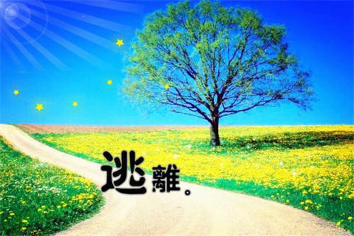 谢宁唐霄(指点红尘小说)全文免费阅读无弹窗大结局_ 谢宁唐霄免费阅读最新章节列表_笔趣阁（指点红尘小说）