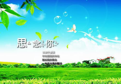 我们不遗憾说再见（唐泽苏冉）全文免费阅读无弹窗大结局_（唐泽苏冉）消耗遗憾全文免费阅读最新章节列表_笔趣阁（唐泽苏冉）