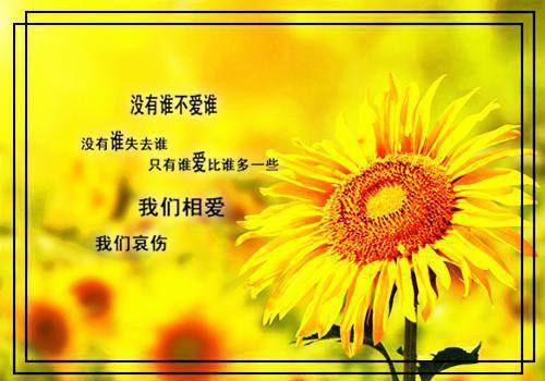 室友落空小说（宋翊姚欣然徐佳佳）全文免费阅读无弹窗大结局_（室友落空）宋翊姚欣然徐佳佳最新章节列表_笔趣阁（室友落空）