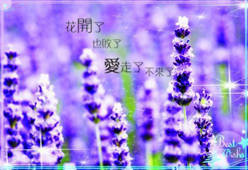 烈火焚天免费阅读小说(烈火焚天免费阅读)全文免费阅读无弹窗大结局_(烈火焚天免费阅读小说免费阅读)最新章节列表_笔趣阁（烈火焚天免费阅读）