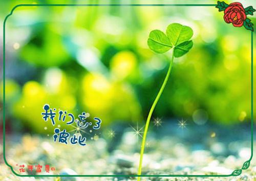 最新章节江凝朵陈予泽：结局+番外倾心编著_江凝朵陈予泽：结局+番外倾心编著已完结