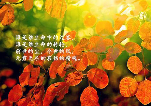 一梦烟雨叶微澜（一梦烟雨叶微澜）全文免费阅读无弹窗大结局_（一梦烟雨叶微澜）一梦烟雨叶微澜最新章节列表_笔趣阁（一梦烟雨叶微澜）