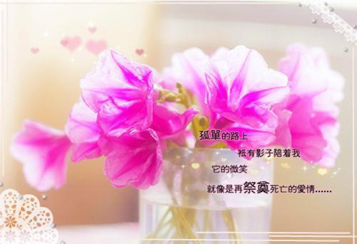 散落星河的记忆小说免费阅读全文（散落星河的记忆小说免费阅读全文）全文免费阅读无弹窗大结局_（散落星河的记忆小说免费阅读全文）散落星河的记忆小说免费阅读全文最新章节列表_笔趣阁（散落星河的记忆小说免费阅读全文）