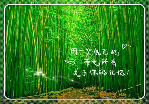 骆晋云薛宜宁（骆晋云薛宜宁 ）全文免费阅读无弹窗大结局_（骆晋云薛宜宁）骆晋云薛宜宁 全文最新章节列表_笔趣阁（骆晋云薛宜宁）