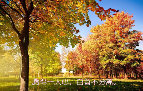 时溪江瑾宸(时溪江瑾宸小说)小说全文免费阅读无弹窗大结局_（时溪江瑾宸全文免费阅读）时溪江瑾宸最新章节列表笔趣阁（时溪江瑾宸小说）