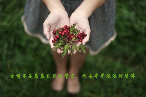 分手后给自己的句子正能量