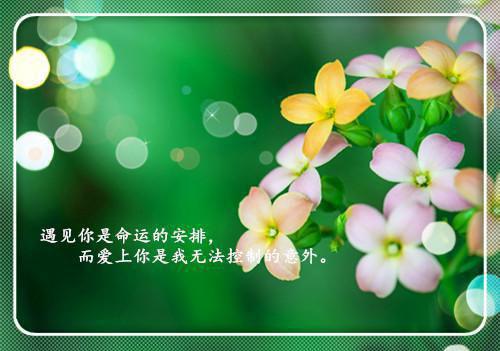 忧伤成海(庄丞丫丫)全文免费阅读无弹窗大结局_忧伤成海(忧伤成海)免费阅读无弹窗最新章节_笔趣阁（庄丞丫丫免费阅读无弹窗）