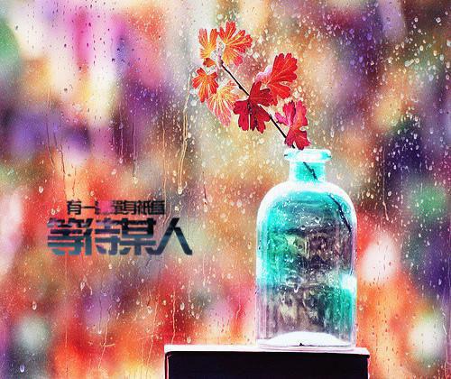 我们不遗憾说再见小说（唐泽苏冉）全文免费阅读无弹窗大结局_（我们不遗憾说再见小说）唐泽苏冉全文免费阅读最新章节列表_笔趣阁（唐泽苏冉）
