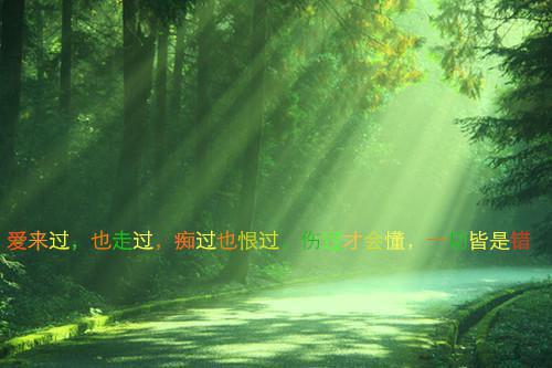 最新章节免费 第1章在线阅读