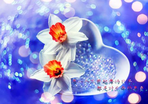 宋画意战少胤小说_(战少，你媳妇又爬墙了知乎)最新章节免费阅读