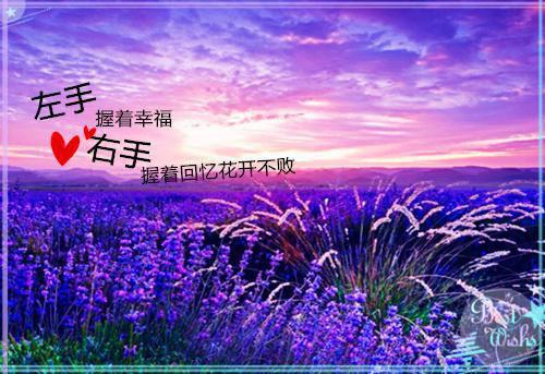 为武汉加油打气的正能量暖心句子