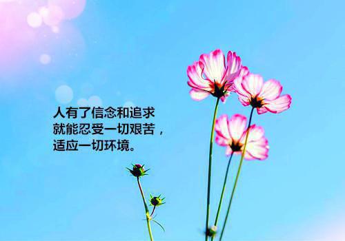 赵清婉楚延琛（赵清婉楚延琛）全文免费阅读无弹窗大结局_（赵清婉顾江卓烟吴悦楚延琛全文免费阅读无弹窗）赵清婉楚延琛最新章节列表_笔趣阁（赵清婉楚延琛）