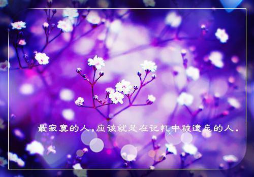秦夷苏孤兰什么小说 秦夷苏孤兰全文免费阅读