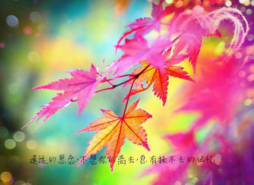 深情不折腰小说免费阅读全文无删减（许穗陆东珩）全文免费阅读无弹窗大结局_（许穗陆东珩）深情不折腰小说免费阅读全文无删减最新章节列表_笔趣阁（深情不折腰许穗陆东珩）