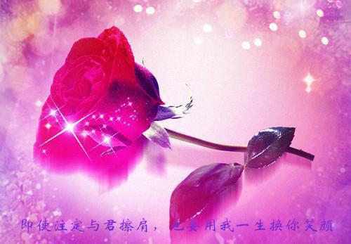 白首不是心上人（白首不是心上人）全文免费阅读无弹窗大结局_(白首不是心上人小说免费阅读)最新章节列表_笔趣阁（白首不是心上人）