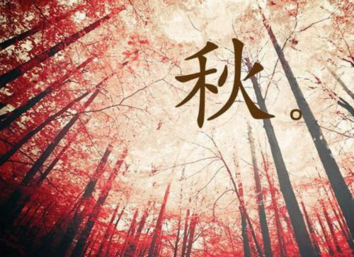 傅祯唐嘉小说全文阅读_前者悲歌小说最新章节免费阅读