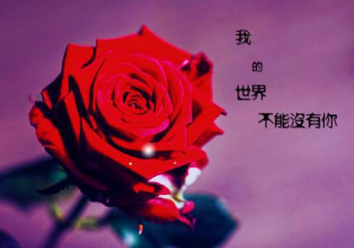 陆斯年郁竹（陆斯年郁竹）全文免费阅读无弹窗大结局_ 陆斯年郁竹最新章节列表_笔趣阁（陆斯年郁竹）