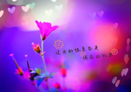 乔言顾烨霆在线观看（乔言顾烨霆在线观看）全文免费无弹窗大结局_乔言顾烨霆在线观看（乔言顾烨霆在线观看乔言顾烨霆）最新章节目录笔趣阁（乔言顾烨霆在线观看）