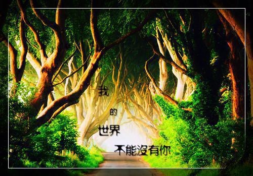 陆晚舟穆停（陆晚舟穆停免费阅读）全文在线阅读无弹窗大结局_（陆晚舟穆停全文大结局)最新章节列表_笔趣阁（陆晚舟穆停）