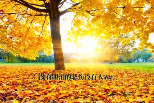 林若渝傅云司小说（林若渝傅云司）全文免费阅读无弹窗大结局_（林若渝傅云司小说）林若渝傅云司全文免费阅读最新章节列表_笔趣阁（林若渝傅云司）
