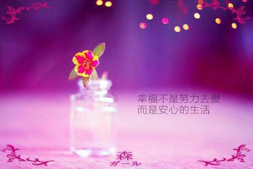 旧人花落小说(伏卿姬玄策)全文免费阅读无弹窗大结局_（旧人花落小说）伏卿姬玄策最新章节列表笔趣阁（旧人花落）