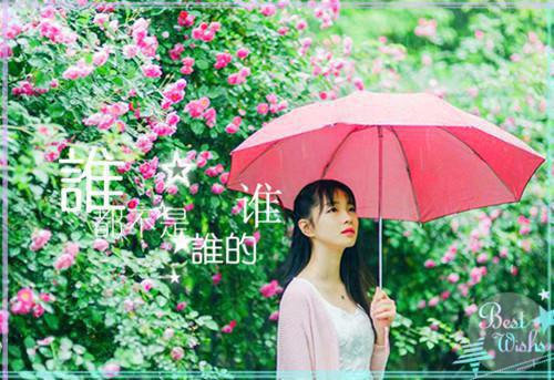 黎墨星霍辞暮(黎墨星霍辞暮)全文免费阅读无弹窗大结局_黎墨星霍辞暮免费阅读最新章节列表_笔趣阁（黎墨星霍辞暮）