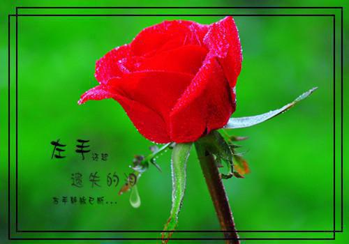 虞芝芝宋宸小说（虞芝芝宋宸）全文免费阅读大结局_ （虞芝芝宋宸）好书推荐