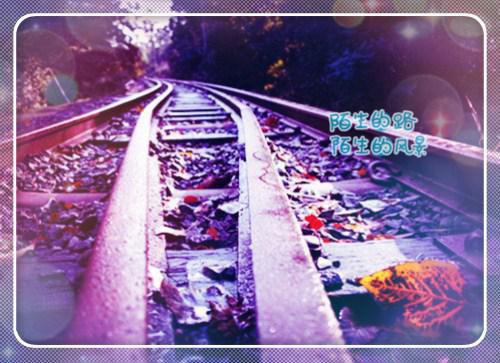 王牌将军李峰结局全文免费阅读无弹窗大结局（王牌将军李峰结局）_（王牌将军李峰结局）王牌将军李峰结局最新章节列表_笔趣阁（王牌将军李峰结局）