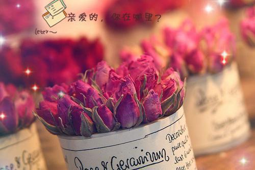 只为他折腰（只为他折腰）全文免费阅读无弹窗大结局_ （只为他折腰）只为他折腰最新章节列表_笔趣阁（只为他折腰）