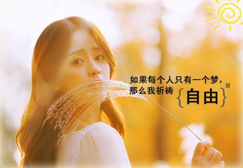 惦记八年(苏宛辞陆屿)全文免费阅读大结局_惦记八年最新章节列表