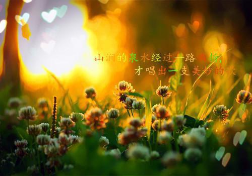 江妍顾铭晨（江妍顾铭晨 ）全文免费阅读无弹窗大结局_（江妍顾铭晨）江妍顾铭晨 全文最新章节列表_笔趣阁（江妍顾铭晨）