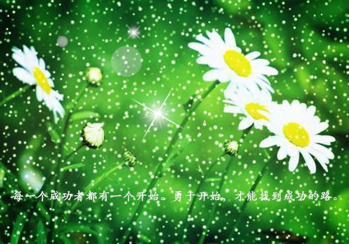 沈岁傅沉(沈岁傅沉)全文免费阅读无弹窗大结局_(沈岁傅沉免费阅读全文大结局)最新章节