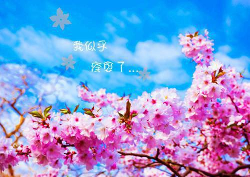 徐靖州江瑶小说全文免费阅读无弹窗大结局（徐靖州江瑶）_（徐靖州江瑶小说）徐靖州江瑶小说免费阅读无弹窗最新章节列表_笔趣阁（徐靖州江瑶）