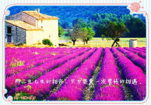 陈凡陈青全文免费阅读无弹窗大结局_(陈凡被提取记忆)最新章节列表笔趣阁（陈凡陈青陈凡被提取记忆）