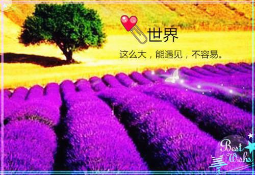 心动老公（明舒陆时屿）全文免费阅读大结局_心动老公完结版阅读_明舒陆时屿