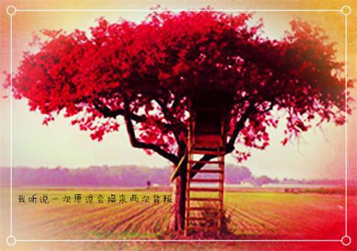 宫墙不知处齐域贺淮安（宫墙不知处）全文免费阅读无弹窗大结局_ （宫墙不知处齐域贺淮安）宫墙不知处最新章节列表_笔趣阁（宫墙不知处）