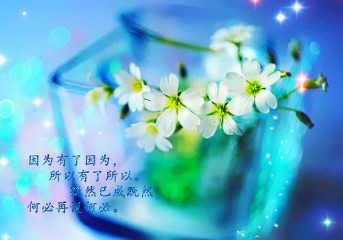 太子归属（钟灵儿郑婉婉）全文免费阅读无弹窗大结局_太子归属小说（钟灵儿郑婉婉）最新章节列表_笔趣阁（太子归属）