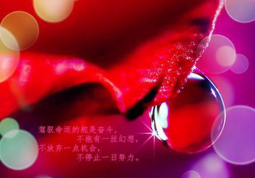 傅晏深温知意(温知意傅晏深)全文免费阅读无弹窗大结局_(傅晏深温知意免费阅读全文大结局)温知意傅晏深最新章节列表_笔趣阁（傅晏深温知意）